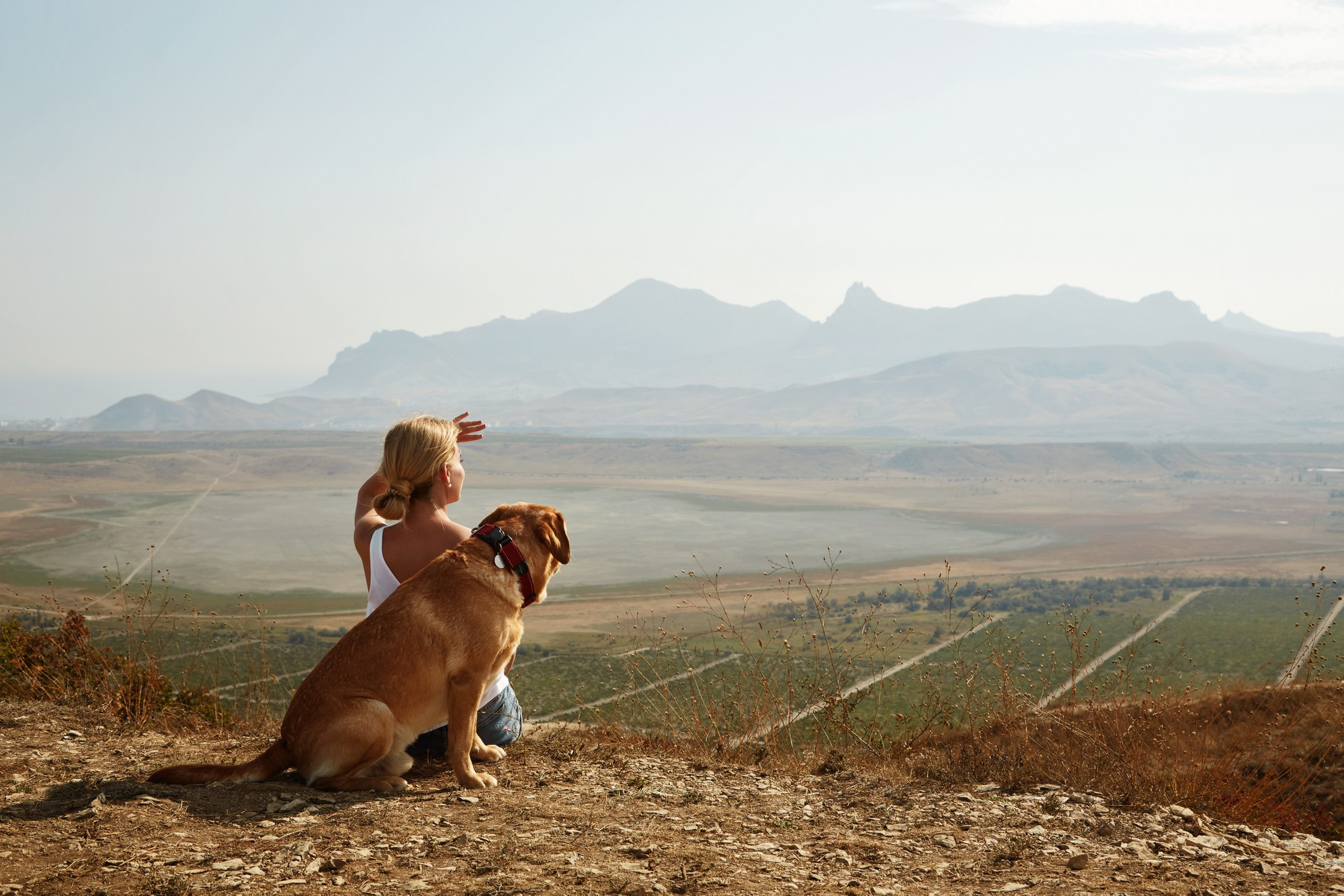 beautiful-girl-with-dog-mountain-top